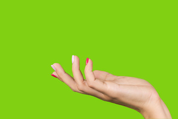 Side view of beautiful empty white manicured female hand in open cupped palm gesture isolated on green bright background, Horizontal color photography,