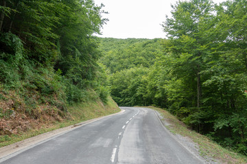 Road between Olot and Ripoll in the Catalan Pyrenees