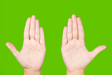 Top view close-up flat lay of beautiful healthy opened empty human female palms raised up isolated on bright  green chroma key background. Horizontal color photography.