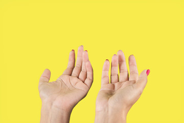 Two hands of white woman in open cupped palms gesture isolated on yellow bright background. Horizontal color photography.