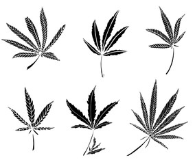 Decorative black trafaret set of big hemp leaves