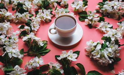 Obraz na płótnie Canvas A cup of tea stands on a pink background surrounded by white flowers of an apple tree. The concept of spring tea and medicinal decoctions. Close up..