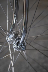 Rennrad vor tollem Hintergrund wie Raddetails 