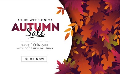 Sale banner with foliage for autumn promotions vector illustration. Profitable proposition save 10 percent this week only. Landing page with fall leaves and shop now button. Advertising concept