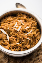 Wheat flour Halwa or Shira /  Atte ka Halva, Popular healthy dessert or breakfast menu from India. served in a bowl or plate. selective focus