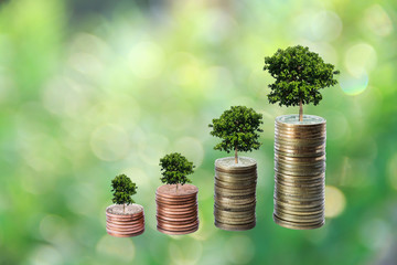 Coins with money growing plant concept finance and banking. Green bokeh background