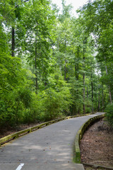 Fototapeta premium long boardwalk leading through dense south carolina forest