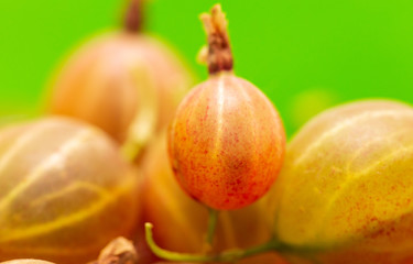 Ripe gooseberries as a background
