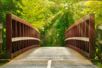 sun-rays peak through the trees on to an old bridge
