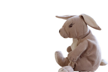 Fototapeta na wymiar Plush toy rabbit on the side. Isolated on a white background. Free space for text.