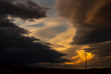 Montana Skies