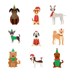 Dog breeds cute in Christmas clothes and hats flat vector illustration isolated.