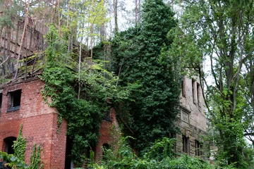 Foto op Plexiglas verlaten plek, verlaten kliniek in het bos, in de buurt van Berlijn, Beelitz, sanatoria © Sebastian