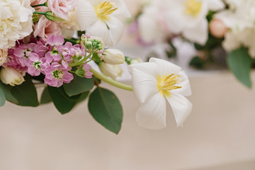 Beautiful flowers on the wedding table and white flower with yellow middle and white, gentle petals