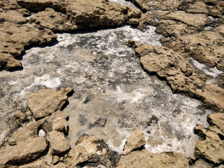 Salty coasts on the Cyprus .