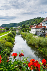 Germany, Neckar river flowing through city horb am neckar in northern black forest nature landscape vacation region with red flowers - obrazy, fototapety, plakaty