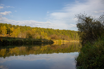 Obraz premium River in the autumn forest