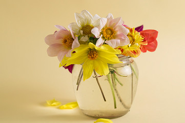 Flowers in a glass jar on a yellow background.