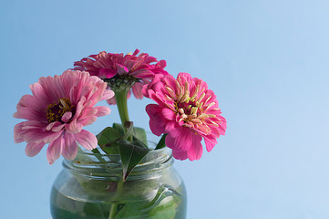 Flowers in a glass jar on a blue background.