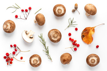 Autumn mushroom background. Fresh brown champignon mushrooms, red viburnum berries and autumn leaves on a white background, top view, flat lay.