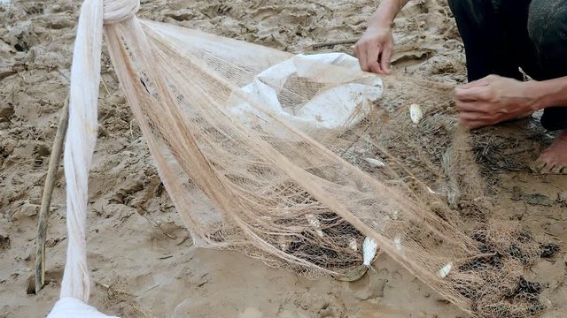 Fisherman removing enmeshed fish from his net and keeping it in a plastic bag	
