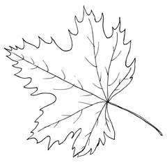 tree leaf black line isolated vector illustration for design and decoration