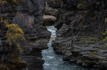 Canyon landscape in Abisko national park in north of Sweden.
