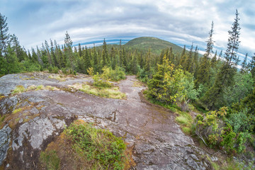 Obraz premium View on White sea cost on Kola arctic - summer on the north of Russia