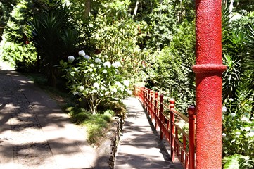 A path through the forest in a japanese garden (Monte Palace Tropical Garden, Funchal, Madeira, Portugal)