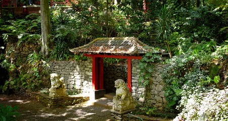 The entrance of a japanese garden in the forest (Funchal, Madeira, Portugal)