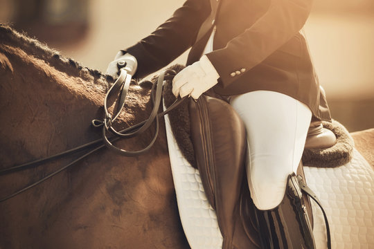 A rider riding a horse, holding his reins, participating in dressage competitions on a Sunny day.