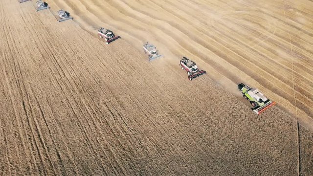 View from above of multiple combines while harvesting