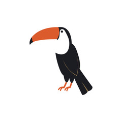 Cartoon toucan bird isolated on white background.