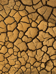 The ground is dry Like Dry Cracked Skin, The global shortage of water on the planet. Global warming and greenhouse effect concept.