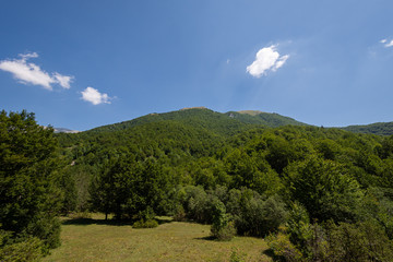 Mountains of the National Park of Abruzzo, Lazio and Molise.  Val Fondillo. Wonderful summer...