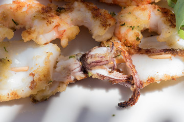 Squid skewers close up