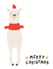 Hand drawn card with cute funny llama in Santa Claus hat, scarf, quote Merry Christmas. Vector illustration on white background. Scandinavian style flat design. Concept for children print, invite