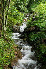 Imagen de una cascada en un bosque de bambú en el norte de Vietnam en Sapa durante el verano