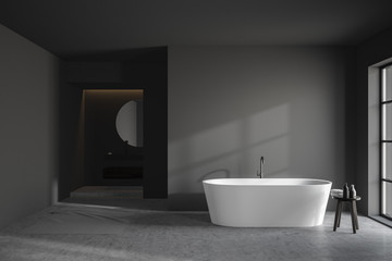 Fototapeta na wymiar Luxury gray bathroom interior with tub and sink