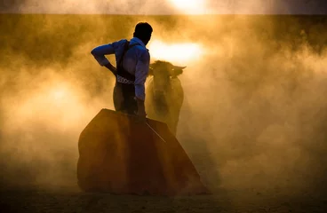 Foto op Aluminium Spanish toreador fighting a heifer during one summer evening in a tentadero © Felipe Caparrós