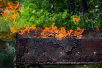 fire burning bright flame on the background of grass and stones closeup