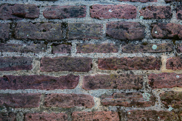 Brick wall. Brick background.