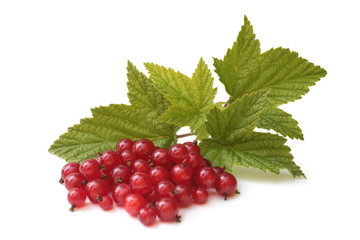 Berries of red currant with leaves