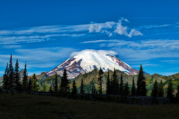 Mt Rainier 