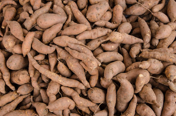 The raw organic brown sweet potato yam from farm at local market