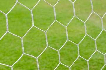 The white Net marking on the artificial green grass soccer field