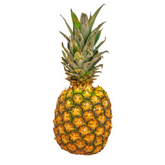 Pineapple close-up 3d rendering with realistic texture