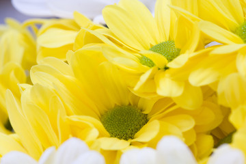 spring big bouquet of yellow and white flowers