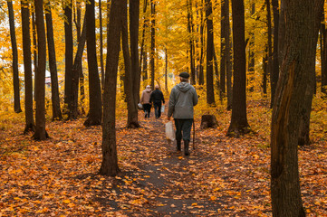 people with bags walk in the autumn forest