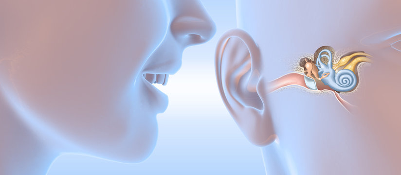 Talking people, soundwave and ear anatomy, medical 3D illustration